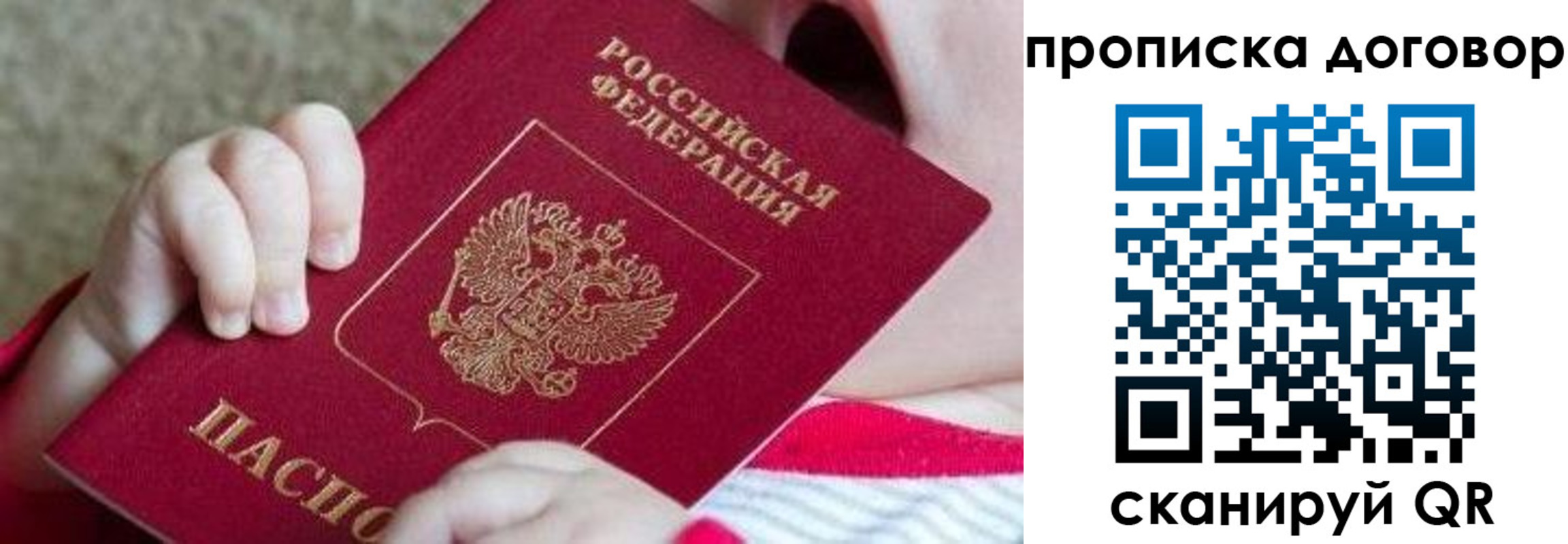 временная регистрация поиск в Ярославской области